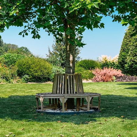 De Logerie Bed & Breakfast Enkhuizen Ngoại thất bức ảnh